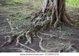 Maybe you would like to learn more about one of these? Shutterstock Puzzlepix
