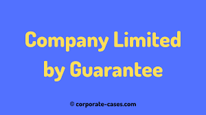 In a simpler term, it's a company without any shareholders but it is owned by members called guarantors who agrees to pay a nominal amount in the event of company's being wound up. Company Limited By Guarantee Under Companies Act 2013