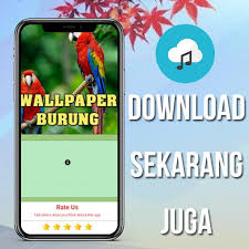 Tons of awesome jujutsu kaisen wallpapers to download for free. Download Suara Pikat Burung Tekukur Paling Ampuh