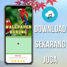 / find your perfect hd wallpaper for your phone, desktop, website or more! Download Suara Pikat Burung Tekukur Paling Ampuh