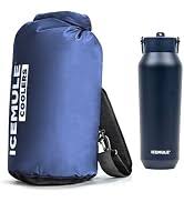 Amazon.com: ICEMULE Impulse Bike Bag, Cross-Body Tote and ...