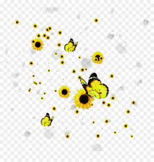 You can use these for backgrounds/wallpaper! Sunflowers Butterflys Butterfly Flowers Falling Aesthetic Transparent Background Sunflower Transparent Hd Png Download Vhv