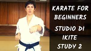 Karate for Beginners #47 - Studio di IKITE - IKITE Study 2. - YouTube