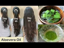 The truth about aloe vera for massive hair growthovernight rice water spray for fast, thick hair growth |. Newest Can I Use Aloe Vera Gel On My Hair Sale Off 53