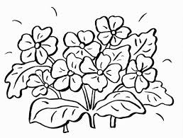 Sie finden sie bei ebay neu oder gebraucht in einem großen sortiment. Ausmalbilder Blumen Ranken 1ausmalbilder Com
