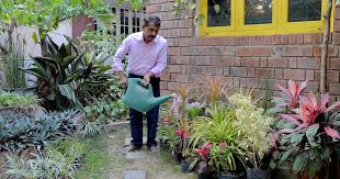 Discover new landscape designs and ideas to boost your home's curb appeal. Rooftop Gardening Is Catching On In India Because Of The Space Crunch In Big Cities