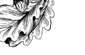 Newcomb Magazine 2021 by Newcomb Institute