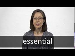 The essentials (band), a canadian a cappella group formed in 1993. German Translation Of Essential Collins English German Dictionary