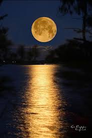 Worm Moon Rising By Lee Capps Original Beautiful Moon Moon Pictures Moon Photography