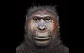 How To Reconstruct The Face Of An Extinct Human Ancestor Ancestor Human Face