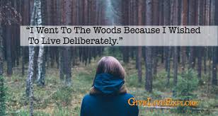 I Went To The Woods Because I Wished To Live Deliberately