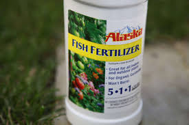 Check spelling or type a new query. A Pet Friendly Kitchen Garden With The Home Depot Gardenista