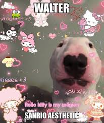 Walter Sanrio Aesthetic Cute Memes Stupid Memes Hello Kitty