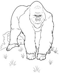 Check spelling or type a new query. Gorilla 7477 Animals Printable Coloring Pages