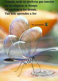 Frases Celebres Http Enviarpostales Net Imagenes Frases Celebres 381 Frases Frases Celebres F Wild Animals Pictures Beautiful Butterflies Animals Beautiful