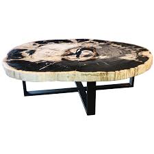 Sku id103782 size 47x41x17h about us. Petrified Wood Coffee Tables Unik Living Unique Tables Custom Made