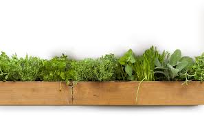 L' atelier de la viande. Atelier De Decoupe De Viande Bio Sud Aveyron Atelier Decoupe Paulinetois