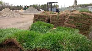 Check spelling or type a new query. Sod Audubon Organics