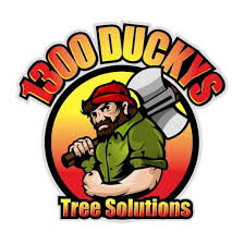 Profile for 1300Duckys