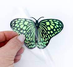 Free Free Holographic Butterfly Svg 653 SVG PNG EPS DXF File