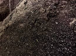 Image result for peat moss