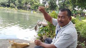 Dengan kata lain, tak bisa bergerak, dada sesak, bahkan ada yang tak bisa sekedar membuka mata, padahal kondisinya telah terbangun. Mancing Ikan Di Taman Situ Lembang Jakarta Pusat Warga Buat Digoreng Dan Dikasih Ke Kucing Tribun Jakarta