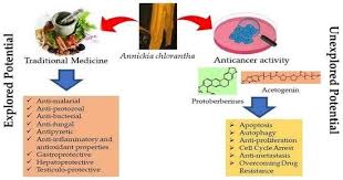 Image result for Annickia