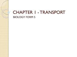 Biology form 5 notes chapter 5 : Ppt Chapter 1 Transport Powerpoint Presentation Free Download Id 1899230