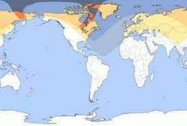 Solar eclipse will occur in your 2nd house of wealth & family. Annular Solar Eclipse 10 June 2021 Vedic Astrology Predictions Effects