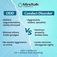 Image result for Conduct Disorder