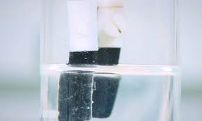 Anfisa siberia nudes all in all chemistry was not there for