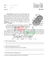 Photosynthesis Worksheet
