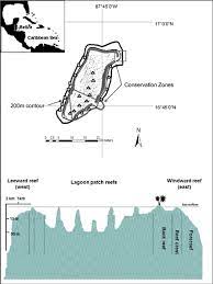 Location Of The Glover S Reef Atoll In The Western Caribbean Inset Download Scientific Diagram