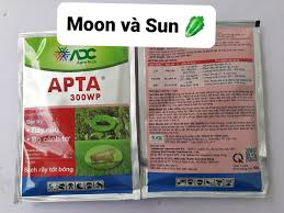 Apta 300WP