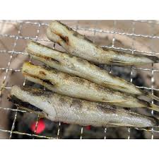 美味しい干物！蒲郡メヒカリ丸干し（30尾入り）塩味付き 目光り めひかり 愛知 蒲郡 : 味のヤマスイ 山本水産 ヤフー店 - 通販 -  Yahoo!ショッピング