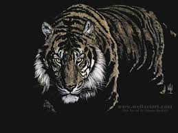 Black Tiger Wallpapers Top Free Black Tiger Backgrounds Wallpaperaccess In these page, we also have variety of images available. black tiger wallpapers top free black