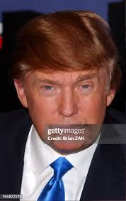 173 photos et images haute résolution de Trump Doll