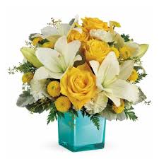We did not find results for: Mother S Day Flower Ideas Unique Mothers Day Flowers