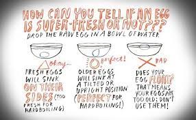 How To Tell If Your Expired Eggs Are Still Good To Eat Food Hacks Wonderhowto