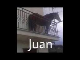 Check spelling or type a new query. Juan Horse On Balcony Video Gallery Sorted By Oldest Know Your Meme