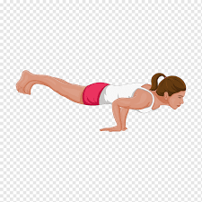 We did not find results for: Mayurasana Png Images Pngwing