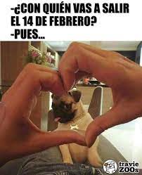 Con El Firulais Al Parque Pues Con Quien Mas Valentine 14defebrro Febrero A Imagenes Divertidas De Animales Humor Divertido Sobre Animales Firulais