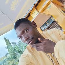 Do ECO-WORTHY lithium batteries have any problems?