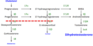 Different Cah Disorders 21 Hydroxylase Deficiency Learn