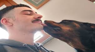 kal1gh0st (Francesco Fedele) · GitHub