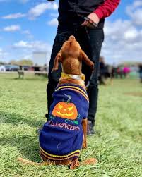Pets allowed with a nonrefundable fee of 25.00 up to 6 nights and 75.00 for 7 or more nights. Pet Friendly Attractions Shopping In Hendricks County Indiana