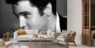 Elvis Presley (Jailhouse Rock) Wallpaper Mural