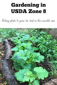 Pin On Grow Your Own Food
