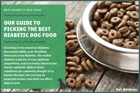 Once a dog is diagnosed with diabetes, it usually remains to be diabetic. Dog Diabetes Top Home Made Meals The 5 Best Diabetic Dog Treats 2020 Diabetic Dog Dog Spinach Sweet Potato And Other Vegetables Keep The Glucose Level In Check Decorados De Unas