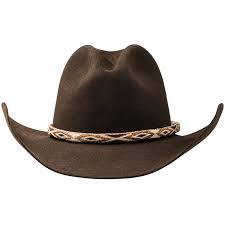 Image result for stetson